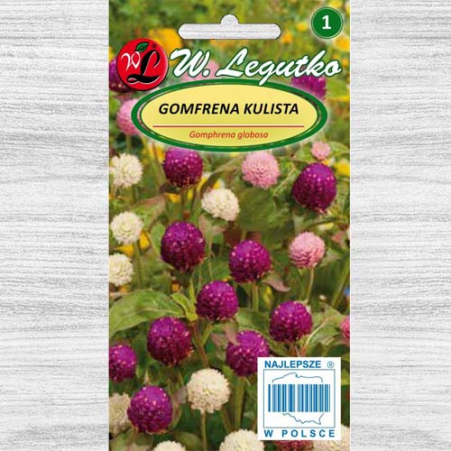 Gomfrena, mix multicolor Legutko imagine 1 articol 78562