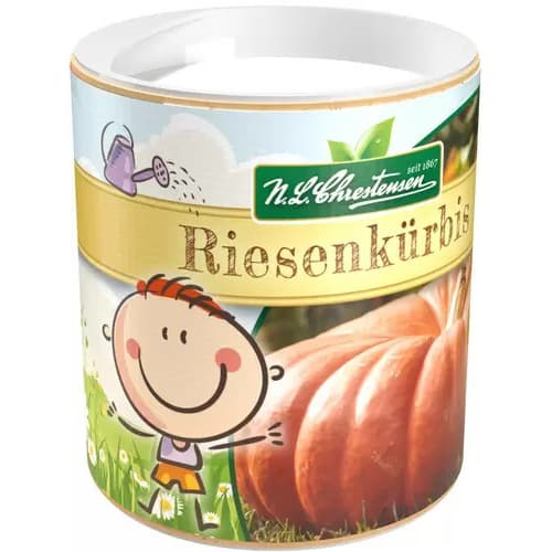 Grădina copiilor Dovleac imagine 1 articol 87837