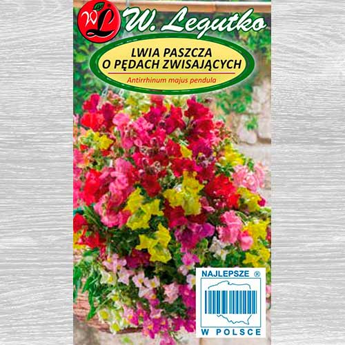 Gura leului, mix multicolor Legutko imagine 1 articol 69602