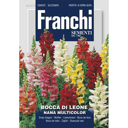 Gura leului pitic, mix multicolor imagine 1 articol 87124