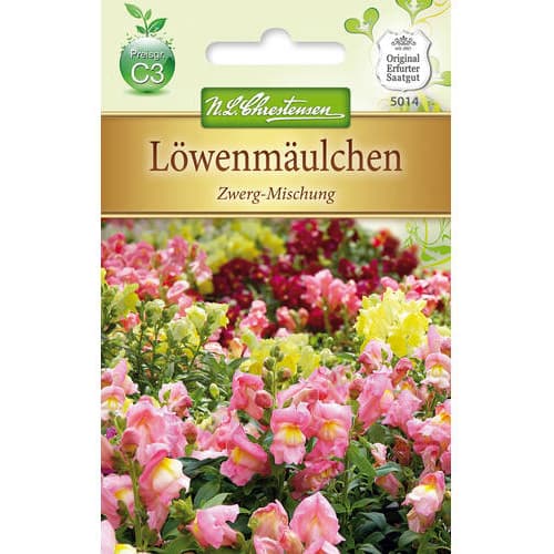 Gura leului pitică, mix multicolor imagine 1 articol 78889