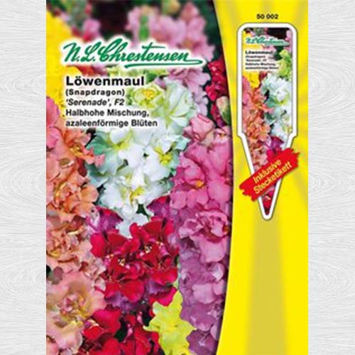 Gura leului pitică Serenade F2, mix multicolor articol fotografie 1 Gura leului pitică Serenade F2, mix multicolor imagine 1 articol 69236