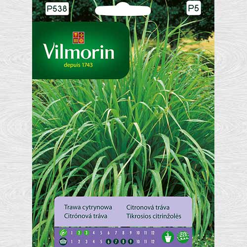 Iarbă de lămâie (Lemongrass) 2 articol fotografie 1 Iarbă de lămâie (Lemongrass) 2 imagine 1 articol 69705