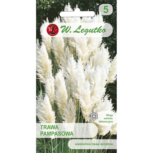 Iarbă de pampas albă imagine 1 articol 69634