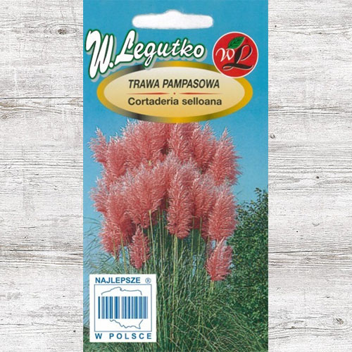 Iarbă de pampas roz Legutko imagine 1 articol 69635