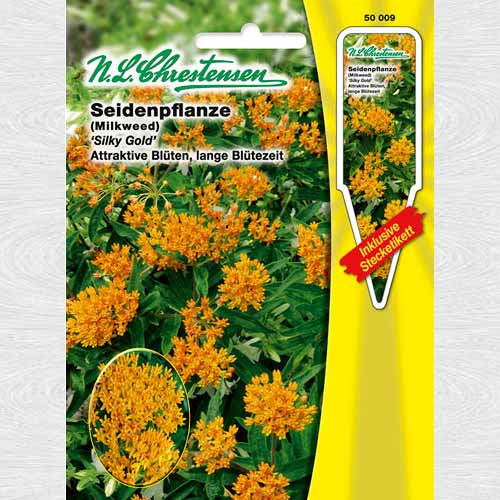 Iarba fluturilor Silky Gold articol fotografie 1 Iarba fluturilor Silky Gold imagine 1 articol 69243