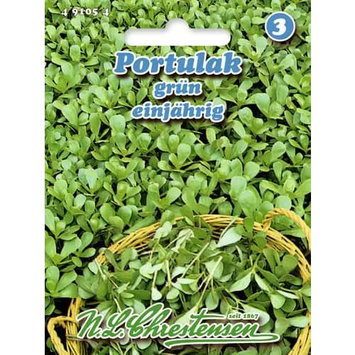 Iarbă grasă anuală imagine 1 articol 96439