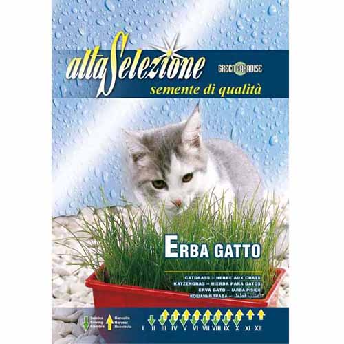 Iarbă pentru pisici imagine 1 articol 96346
