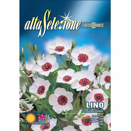 In ornamental imagine 1 articol 96347