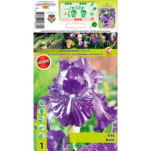 Iris germanica (Stânjenel) Batik imagine 1 articol 76282
