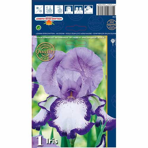 Iris germanica (Stânjenel) On Edge imagine 1 articol 70223