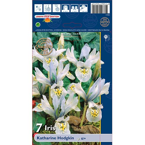 Iris Katharine Hodgkin articol fotografie 1 Iris Katharine Hodgkin imagine 1 articol 70226