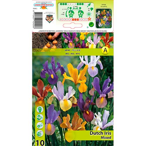 Iris olandez mix multicolor imagine 1 articol 76229