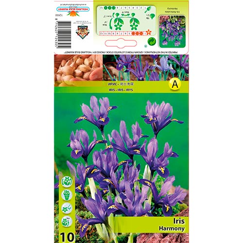 Iris Harmony imagine 1 articol 67381
