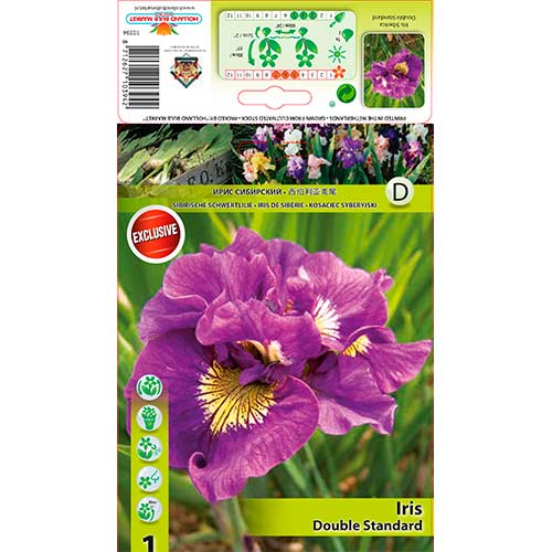 Iris siberian Double Standard imagine 1 articol 76287
