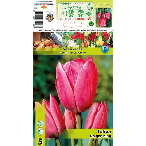 Lalele Dragon King articol fotografie 1 Lalele Dragon King imagine 1 articol 67729