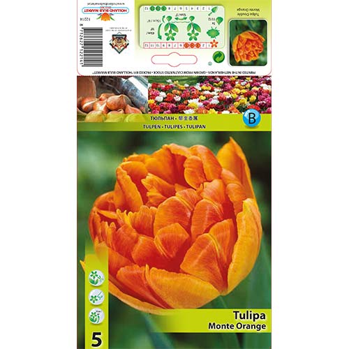 Lalele Monte Orange articol fotografie 1 Lalele Monte Orange imagine 1 articol 67774