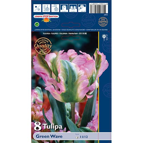 Lalele Green Wave articol fotografie 1 Lalele Green Wave imagine 1 articol 67720