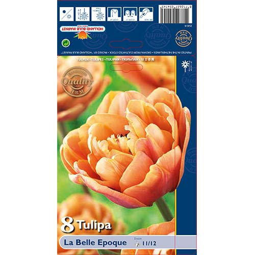 Lalele La Belle Epoque imagine 1 articol 70254