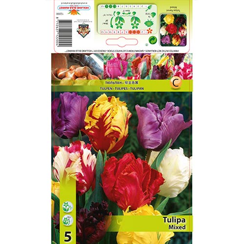 Lalele parrot mix multicolor imagine 1 articol 67874