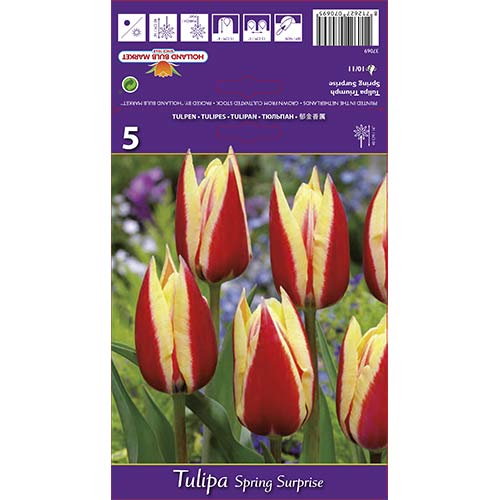 Lalele Spring Surprise imagine 1 articol 68112