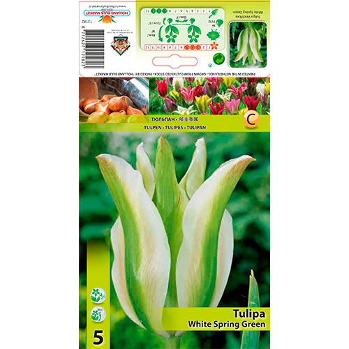 Lalele White Spring Green imagine 1 articol 67850