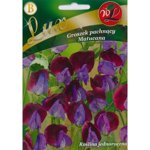 Lathyrus odoratus (Sângele voinicului) Matucana articol fotografie 1 Lathyrus odoratus (Sângele voinicului) Matucana imagine 1 articol 86747