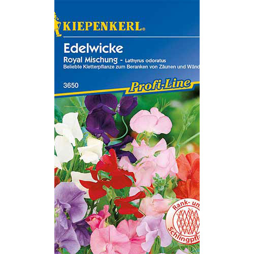 Lathyrus odoratus (Sângele voinicului) Royal, mix multicolor Kiepenkerl articol fotografie 1 Lathyrus odoratus (Sângele voinicului) Royal, mix multicolor Kiepenkerl imagine 1 articol 86263