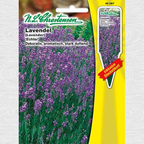 Lavandă Echter imagine 1 articol 69110