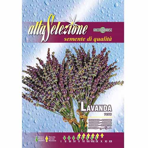 Lavandă imagine 1 articol 96387