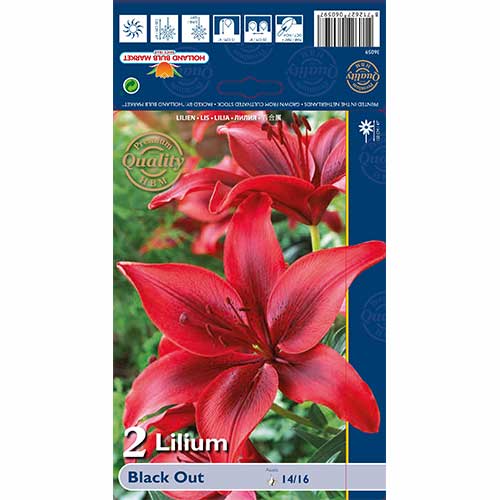 Crin Black Out imagine 1 articol 67387