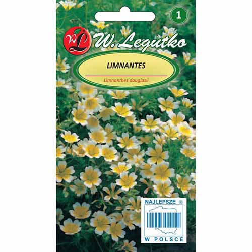 Floarea ou (Limnanthes) bicolor imagine 1 articol 96720