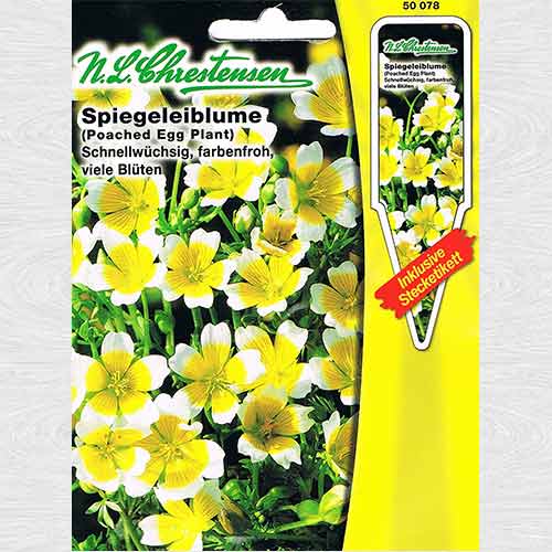 Limnanthes douglasii (Planta ou fiert) imagine 1 articol 69333