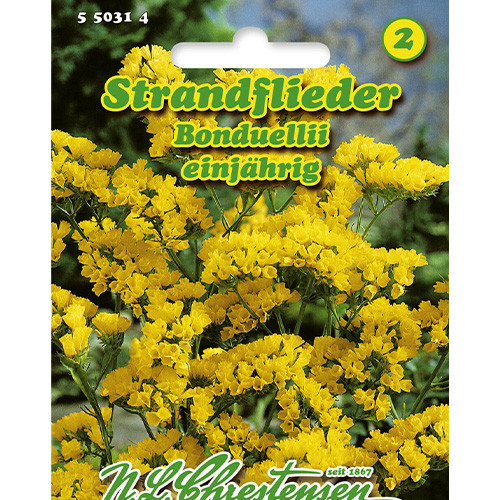 Limonium sinuatum (Sărăturică), Bonduellii Chrestensen articol fotografie 1 Limonium sinuatum (Sărăturică), Bonduellii Chrestensen imagine 1 articol 86164