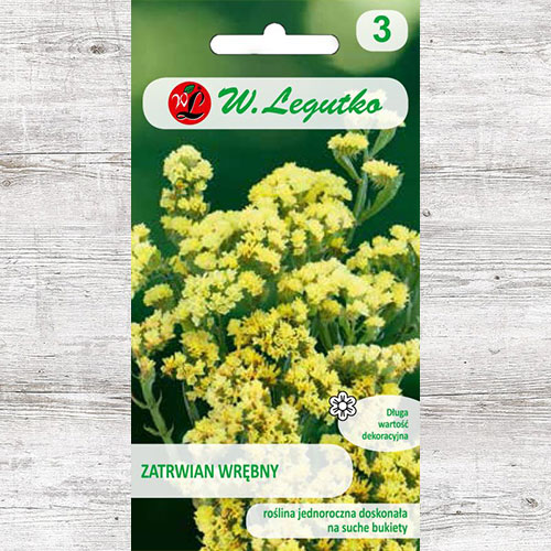 Limonium sinuatum (Sărăturică) galben Legutko imagine 1 articol 87094