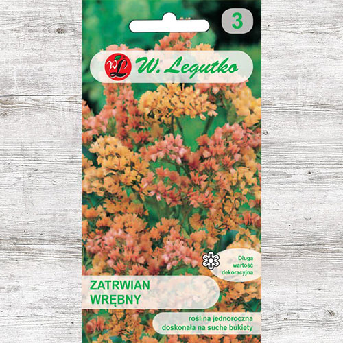 Limonium sinuatum (Sărăturică) somon Legutko articol fotografie 1 Limonium sinuatum (Sărăturică) somon Legutko imagine 1 articol 87095