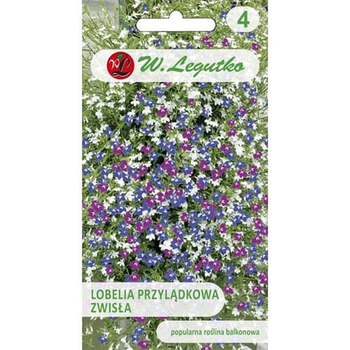 Lobelia curgătoare de ghiveci, mix multicolor imagine 1 articol 78623