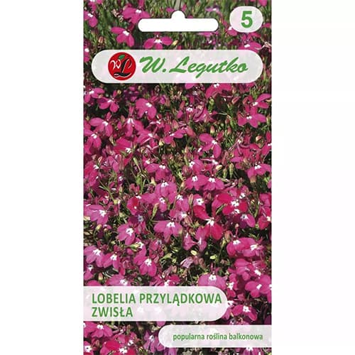 Lobelia curgătoare de ghiveci imagine 1 articol 78622