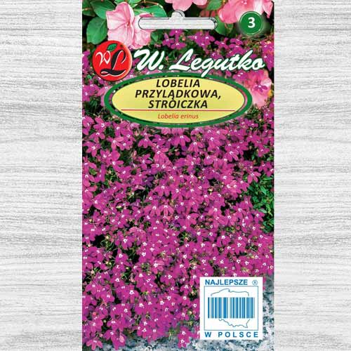 Lobelia curgătoare roșie Legutko imagine 1 articol 78572