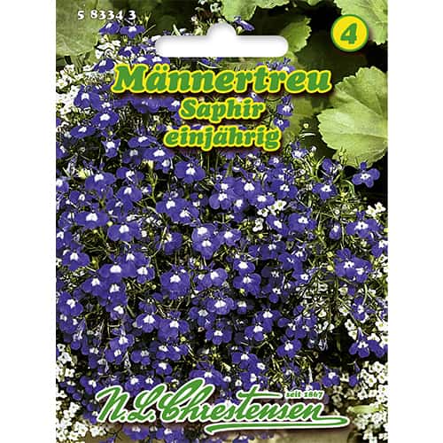 Lobelia Saphir imagine 1 articol 86165