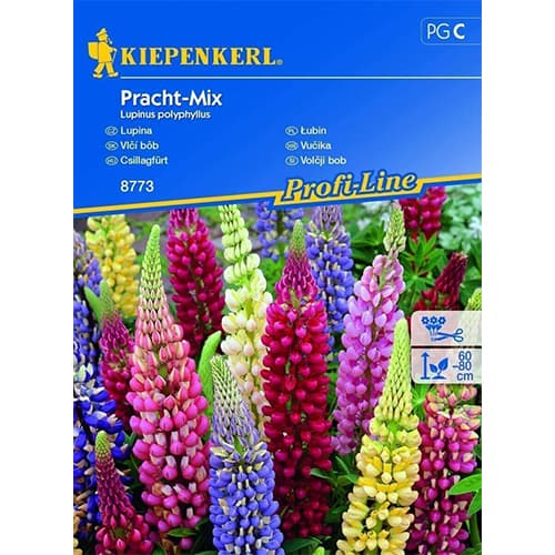 Lupin Splendid, mix multicolor imagine 1 articol 86292