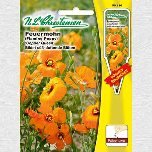 Mac Copper Queen, semințe drajate imagine 1 articol 69383