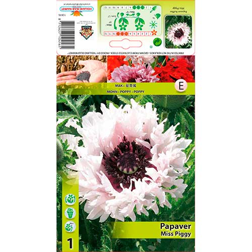 Mac de grădină (Papaver) Miss Piggy Ruffles articol fotografie 1 Mac de grădină (Papaver) Miss Piggy Ruffles imagine 1 articol 76343