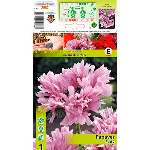 Mac de grădină (Papaver) Patty Ruffles articol fotografie 1 Mac de grădină (Papaver) Patty Ruffles imagine 1 articol 76344