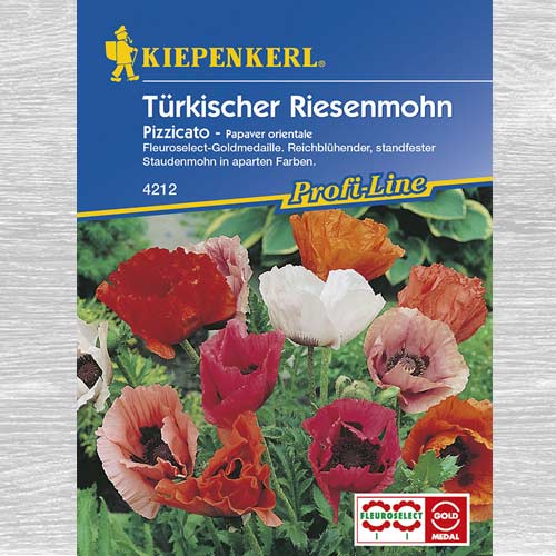 Mac oriental Pizzicato imagine 1 articol 77450