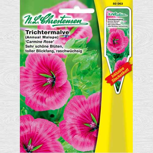 Malope Carmine Rose articol fotografie 1 Malope Carmine Rose imagine 1 articol 69340