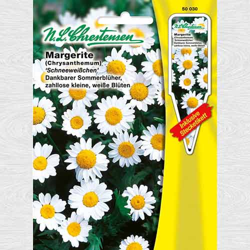 Margaretă Snow White articol fotografie 1 Margaretă Snow White imagine 1 articol 69271