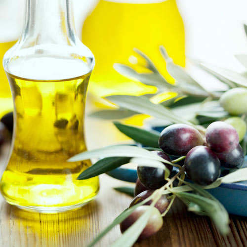 Măslin Piqual articol fotografie 2 Măslin Piqual imagine 2 articol 7965