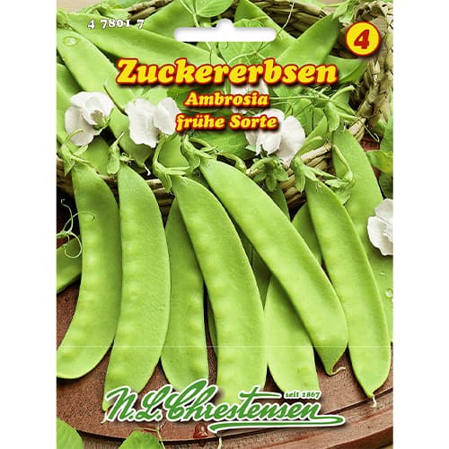 Mazăre Ambrosia imagine 1 articol 86108