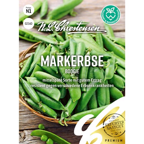 Mazăre Boogie imagine 1 articol 69114